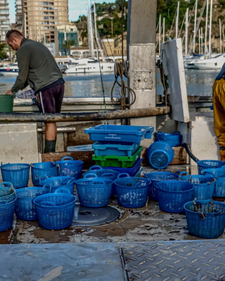 Fishermen unloading the catch into blue crates at a Mediterranean harbour