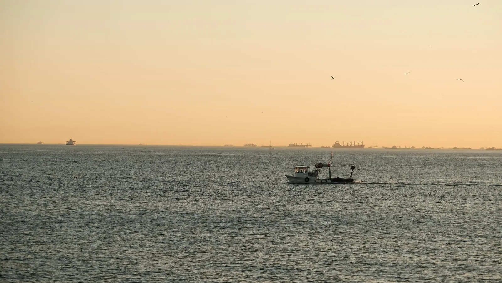 Commercial fishing trawler moving through Mediterranean waters at sunrise