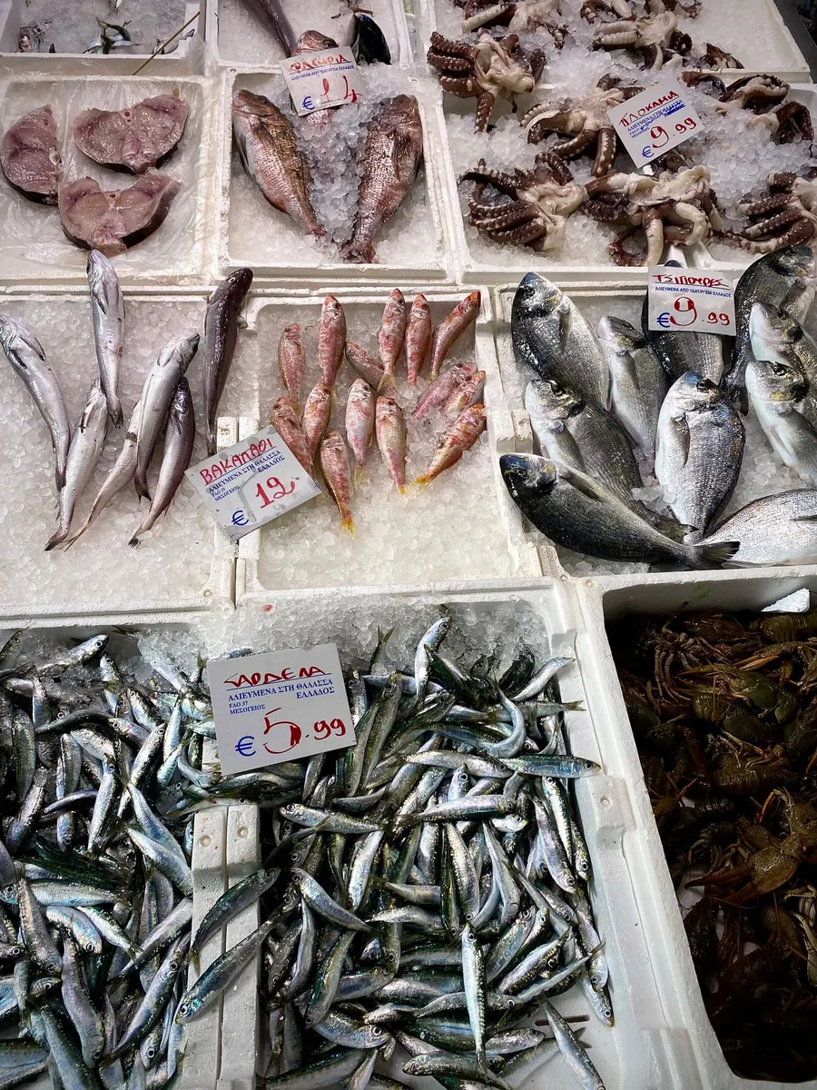 Fresh sea bream and sardines arranged on crushed ice