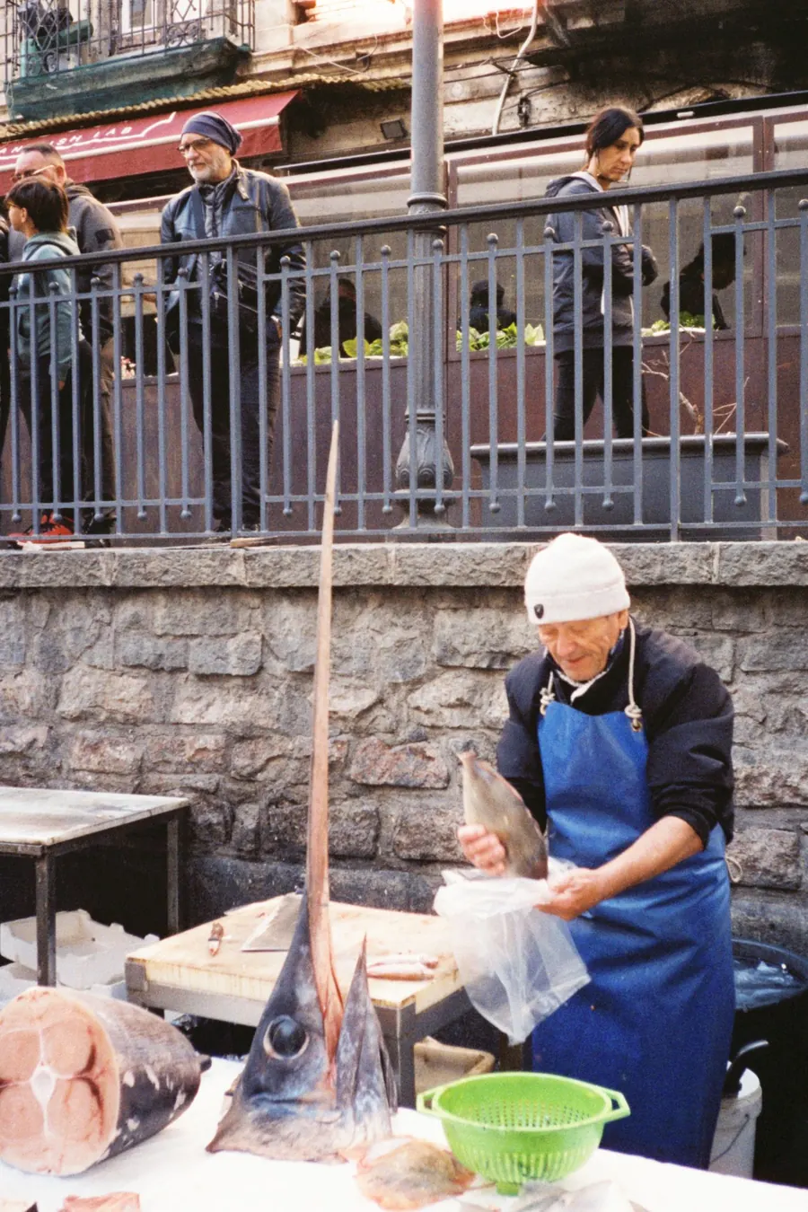 Whole fresh swordfish on a steel table at a Mediterranean fish market