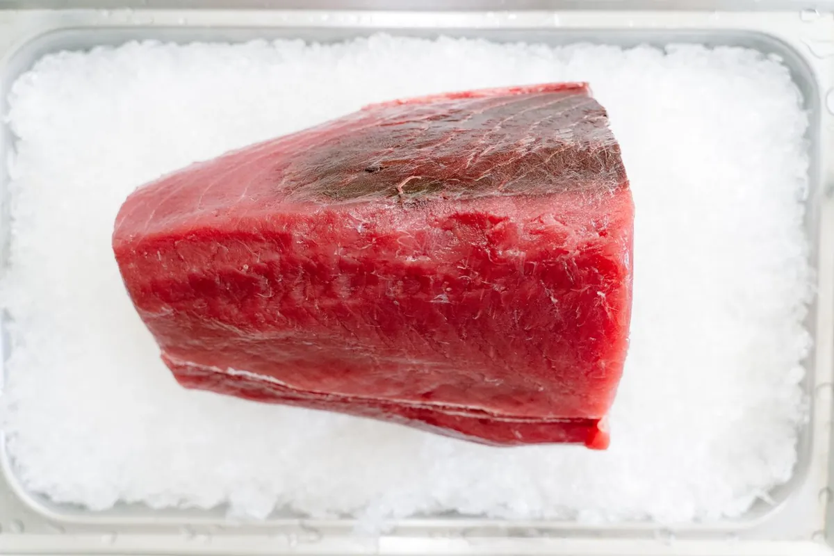 Fresh bluefin tuna resting on ice in a market crate